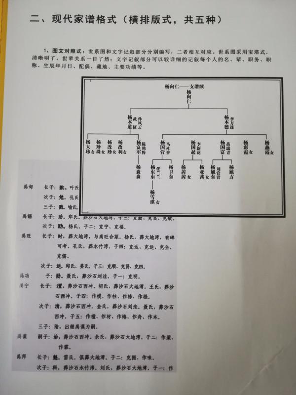 最新族谱格式，记录家族历史的新篇章概览